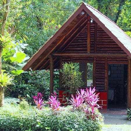 Arenal Oasis Eco Lodge&Wildlife Refuge La Fortuna Exterior foto