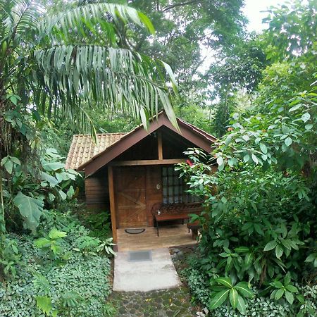Arenal Oasis Eco Lodge&Wildlife Refuge La Fortuna Exterior foto