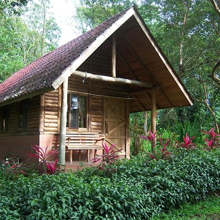 Arenal Oasis Eco Lodge&Wildlife Refuge La Fortuna Exterior foto