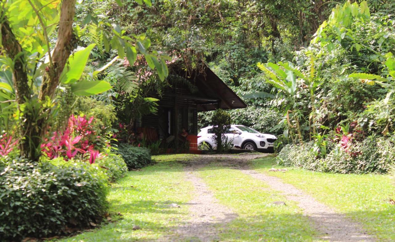 Arenal Oasis Eco Lodge&Wildlife Refuge La Fortuna Exterior foto