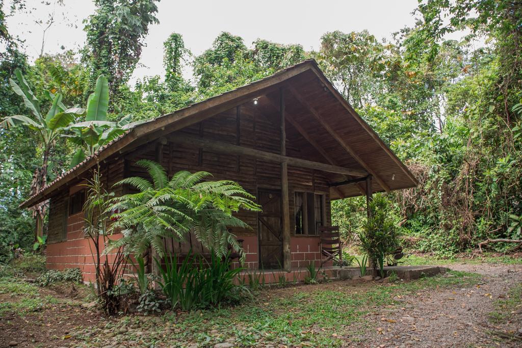 Arenal Oasis Eco Lodge&Wildlife Refuge La Fortuna Exterior foto